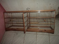 /album/voadores/dsc03919-jpg/