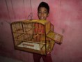 /album/galeria-de-fotos-gaiolas-3g1/a003-jpg1/